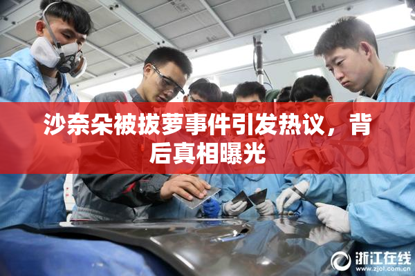 沙奈朵被拔萝事件引发热议，背后真相曝光