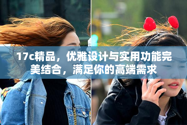 17c精品，优雅设计与实用功能完美结合，满足你的高端需求