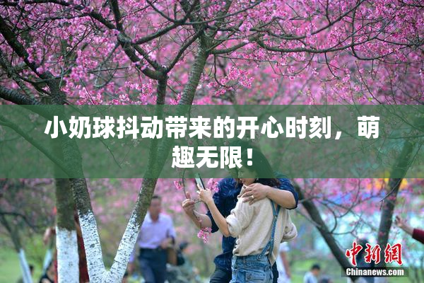 小奶球抖动带来的开心时刻，萌趣无限！
