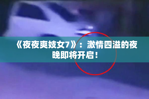 《夜夜爽妓女7》：激情四溢的夜晚即将开启！