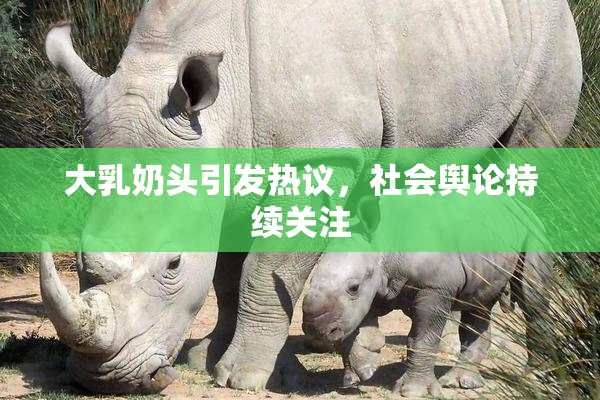 大乳奶头引发热议，社会舆论持续关注