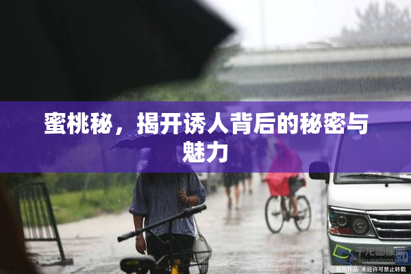 蜜桃秘，揭开诱人背后的秘密与魅力