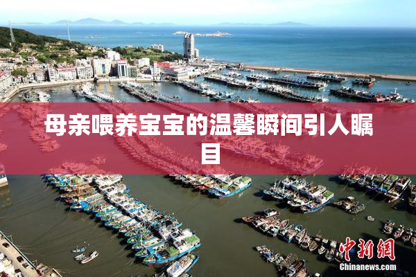 母亲喂养宝宝的温馨瞬间引人瞩目