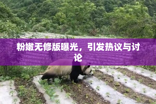 粉嫩无修版曝光，引发热议与讨论