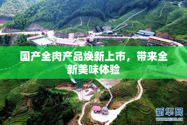 国产全肉产品焕新上市，带来全新美味体验