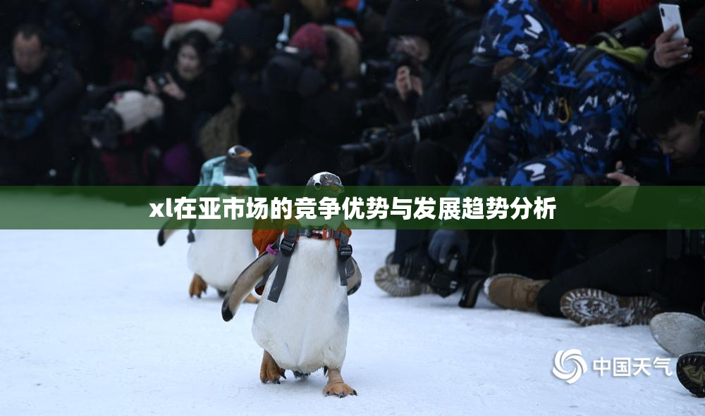 xl在亚市场的竞争优势与发展趋势分析