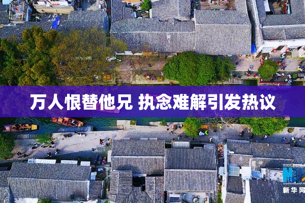 万人恨替他兄 执念难解引发热议