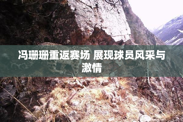 冯珊珊重返赛场 展现球员风采与激情