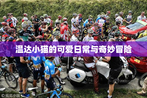 温达小猫的可爱日常与奇妙冒险