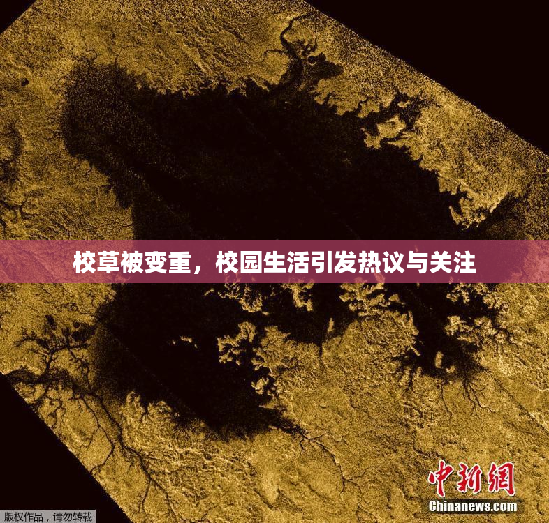 校草被变重，校园生活引发热议与关注