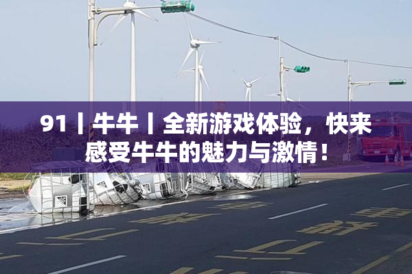 91丨牛牛丨全新游戏体验，快来感受牛牛的魅力与激情！