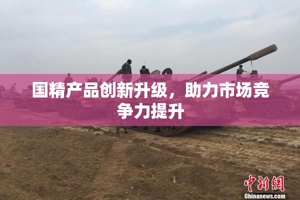 国精产品创新升级，助力市场竞争力提升