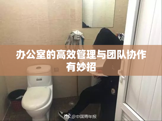 办公室的高效管理与团队协作有妙招