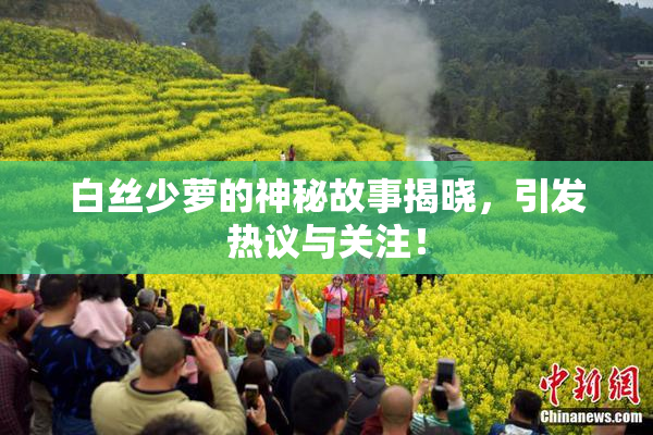 白丝少萝的神秘故事揭晓，引发热议与关注！