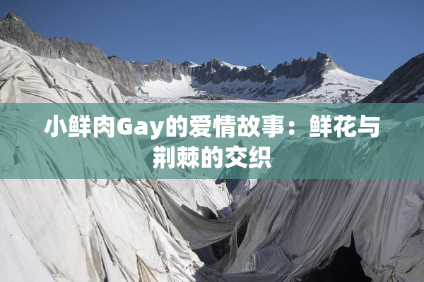小鲜肉Gay的爱情故事：鲜花与荆棘的交织