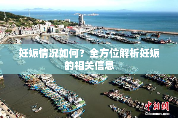 妊娠情况如何？全方位解析妊娠的相关信息