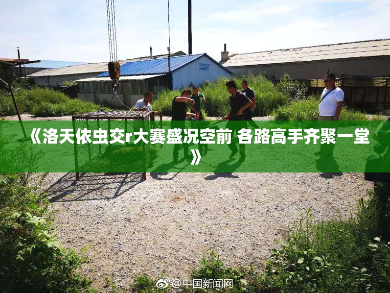 《洛天依虫交r大赛盛况空前 各路高手齐聚一堂》