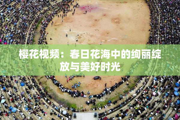 樱花视频：春日花海中的绚丽绽放与美好时光