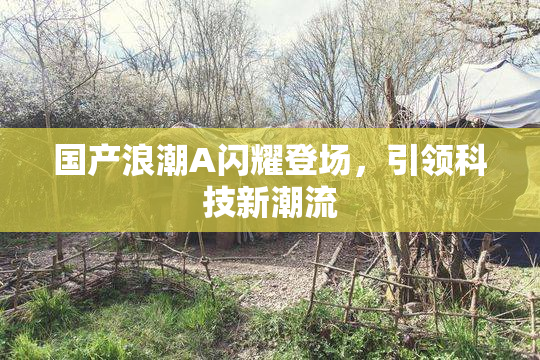 国产浪潮A闪耀登场，引领科技新潮流