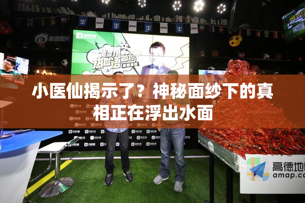 小医仙揭示了？神秘面纱下的真相正在浮出水面