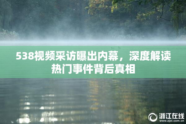538视频采访曝出内幕，深度解读热门事件背后真相