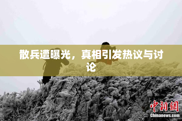 散兵遭曝光，真相引发热议与讨论