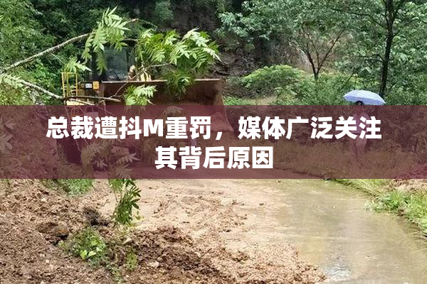 总裁遭抖M重罚，媒体广泛关注其背后原因