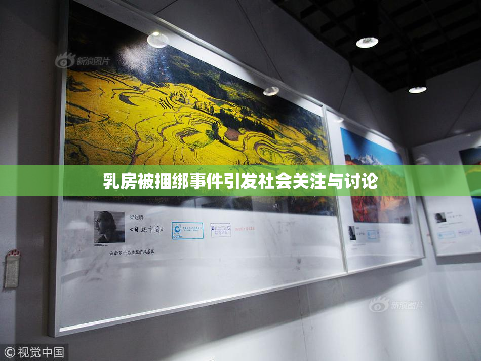 乳房被捆绑事件引发社会关注与讨论