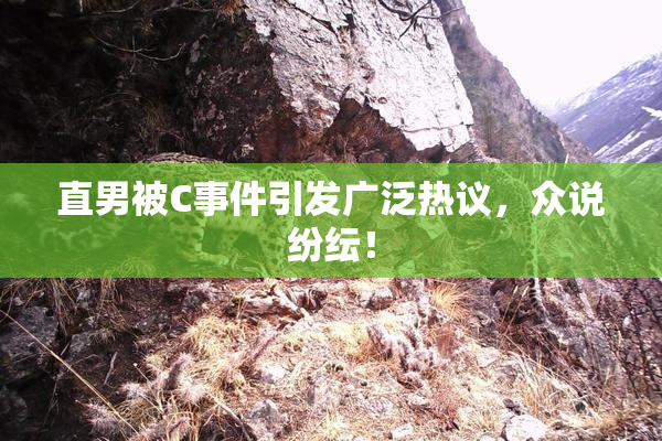 直男被C事件引发广泛热议，众说纷纭！