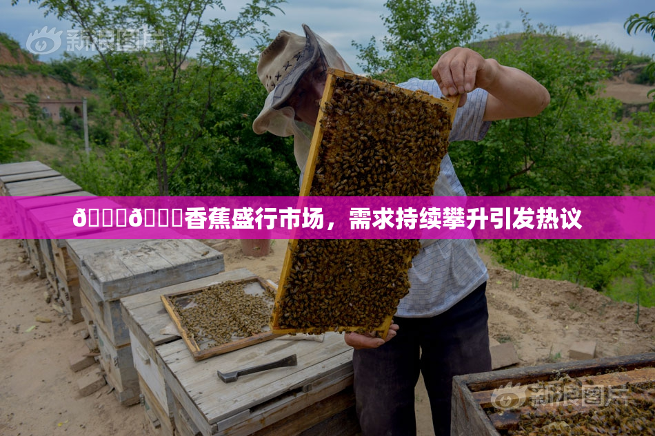 🔞🔞香蕉盛行市场，需求持续攀升引发热议