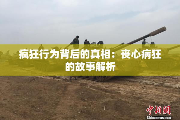 疯狂行为背后的真相：丧心病狂的故事解析