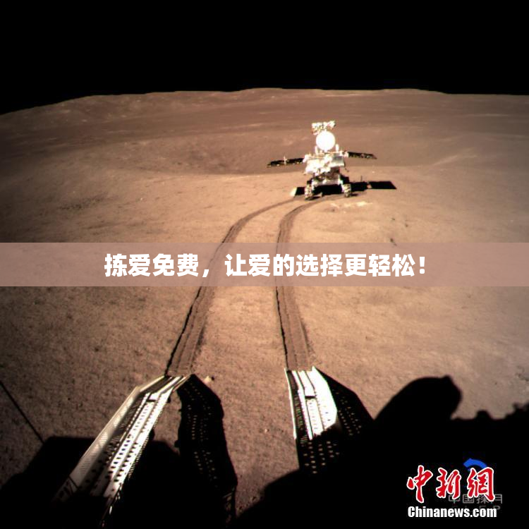 拣爱免费，让爱的选择更轻松！