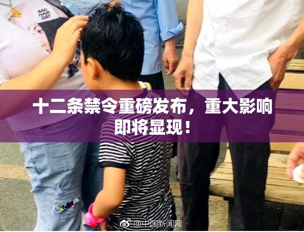 十二条禁令重磅发布，重大影响即将显现！