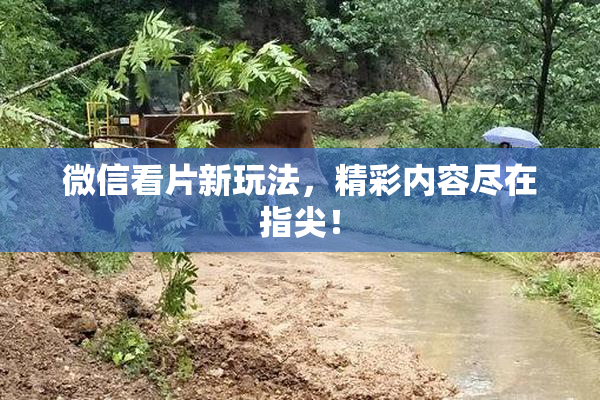 微信看片新玩法，精彩内容尽在指尖！