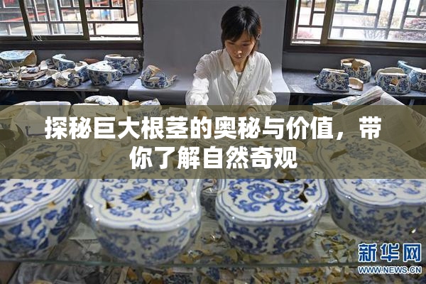 探秘巨大根茎的奥秘与价值，带你了解自然奇观