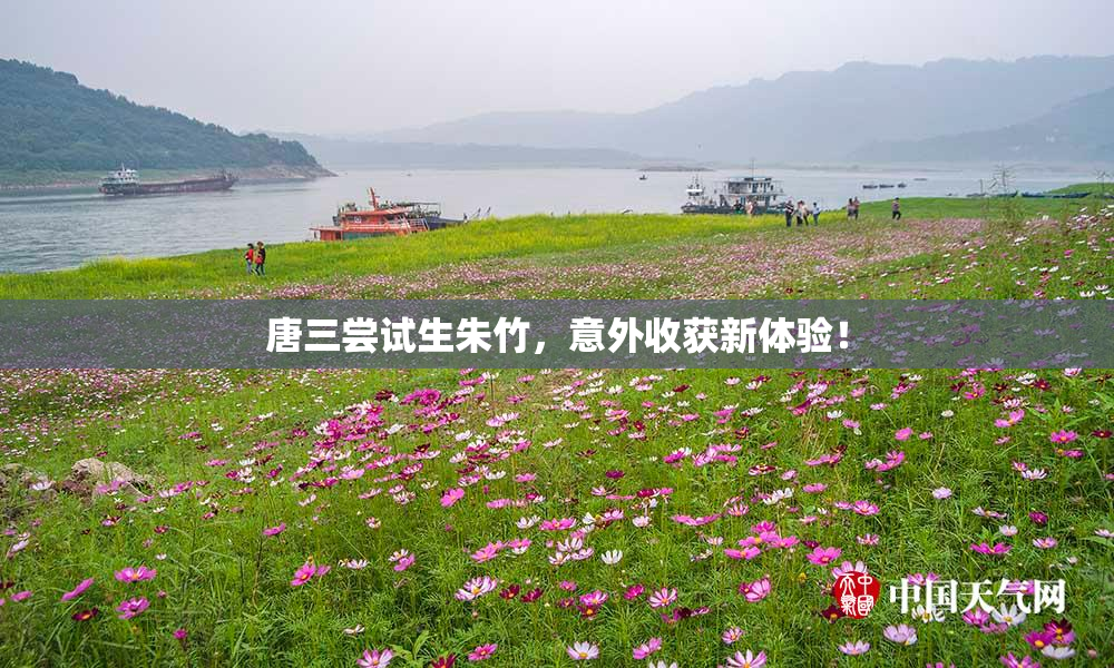 唐三尝试生朱竹，意外收获新体验！