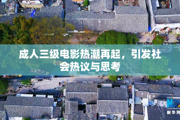 成人三级电影热潮再起，引发社会热议与思考