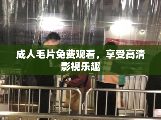 成人毛片免费观看，享受高清影视乐趣
