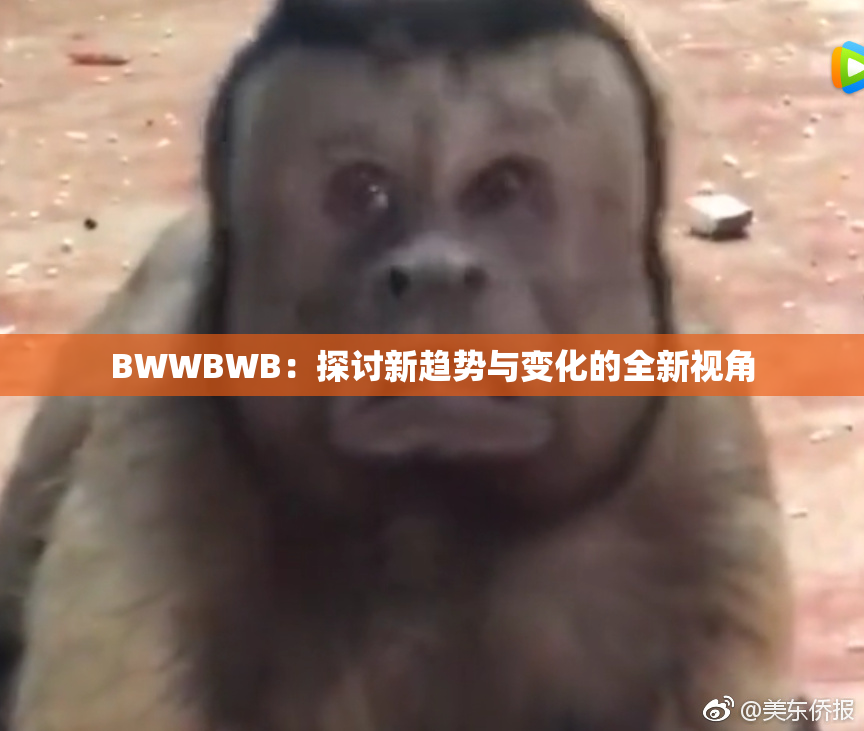 BWWBWB：探讨新趋势与变化的全新视角