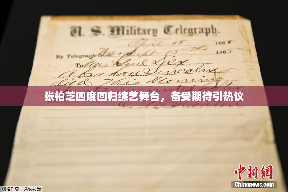 张柏芝四度回归综艺舞台，备受期待引热议