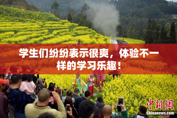 学生们纷纷表示很爽，体验不一样的学习乐趣！
