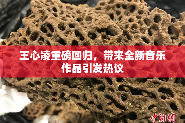 王心凌重磅回归，带来全新音乐作品引发热议