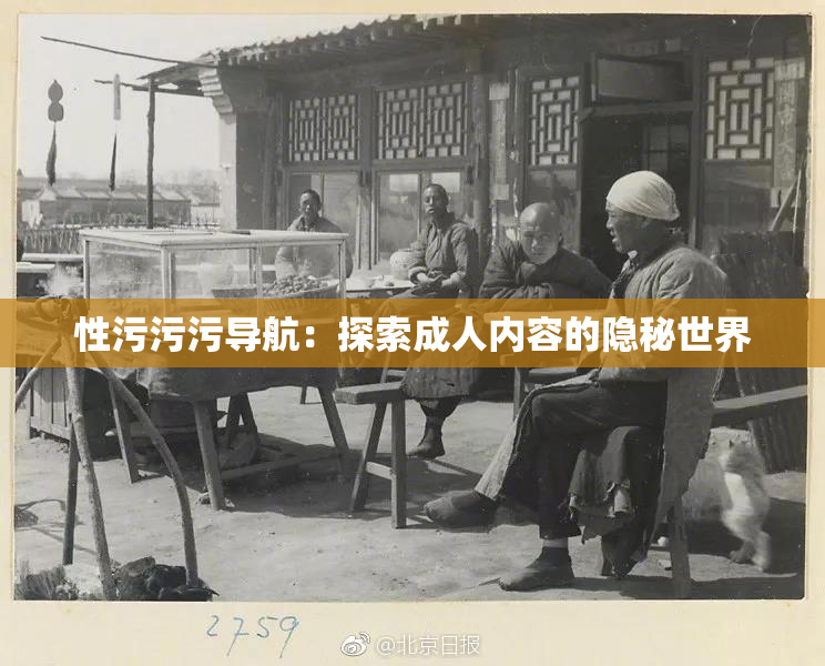 性污污污导航：探索成人内容的隐秘世界