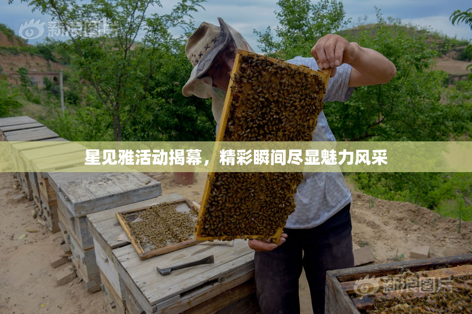 星见雅活动揭幕，精彩瞬间尽显魅力风采