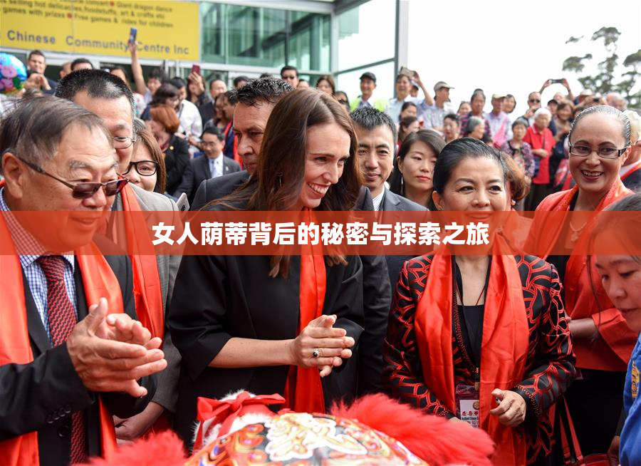 女人荫蒂背后的秘密与探索之旅