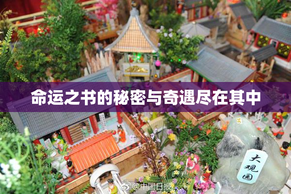 命运之书的秘密与奇遇尽在其中