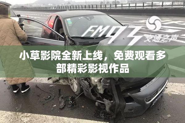 小草影院全新上线，免费观看多部精彩影视作品
