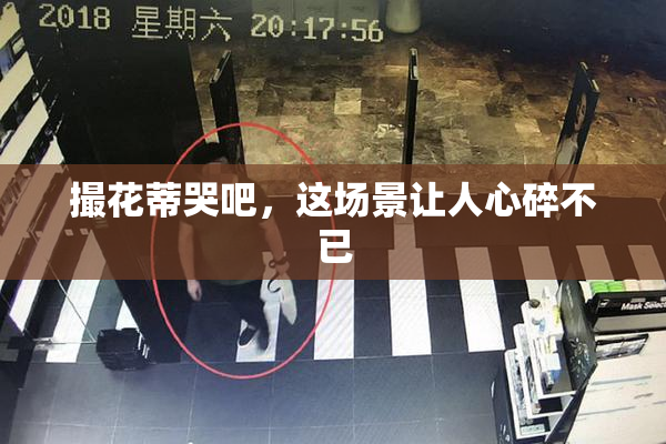 撮花蒂哭吧，这场景让人心碎不已