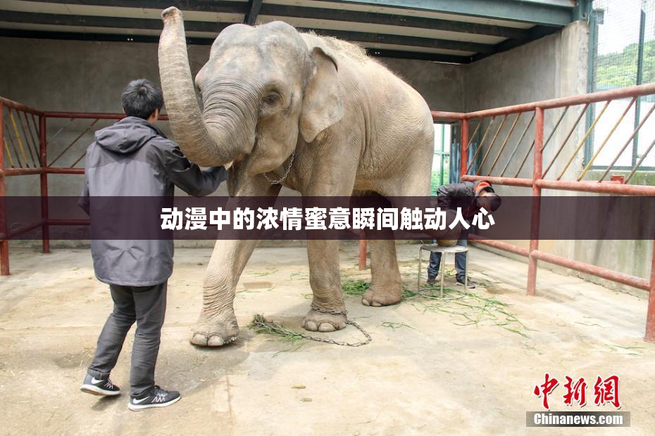 动漫中的浓情蜜意瞬间触动人心