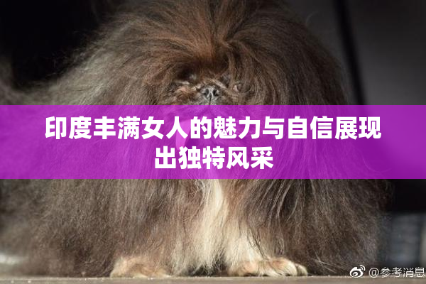 印度丰满女人的魅力与自信展现出独特风采